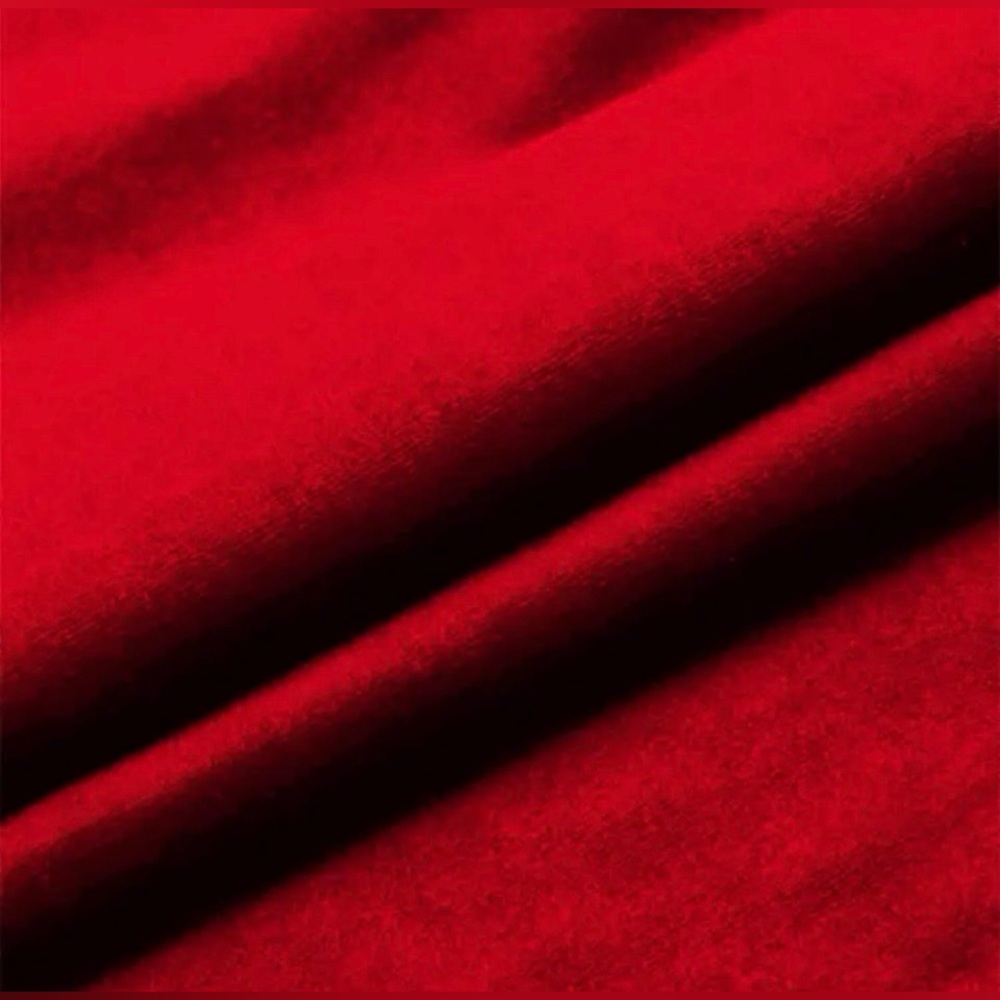 NWT Astrid Cherry Red Velvet Long Sleeve Top XL - Picture 5 of 7